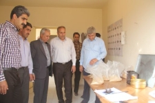 35هزارتن گندم مازادبرمصرف کشاورزان خریداری شده است/ پیش بینی برداشت 80هزارتن گندم از مزارع شهرستان