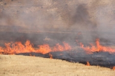 بلای آتش گریبان زاگرس نشینان سرپلذهاب راگرفت +عکس