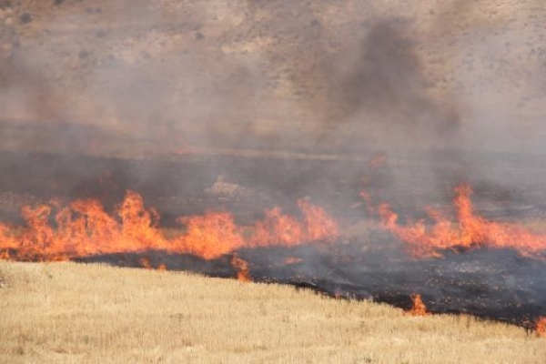 بلای آتش گریبان زاگرس نشینان سرپلذهاب راگرفت +عکس
