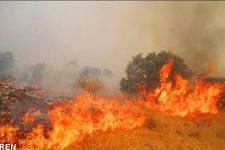 حضور بسیجیان و پاسداران در مهار آتش سوزی مراتع سرپلذهاب/ سپاه آماده همکاری در طرح احیای مراتع سوخته است