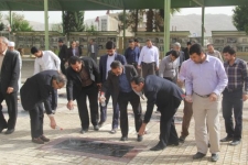 میهمانی لاله ها در گلزار شهدای سرپلذهاب 