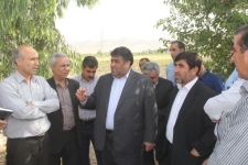 بازدید مدیرکل راه و شهرسازی استان  از پروژه های عمرانی شهرستان سرپلذهاب 