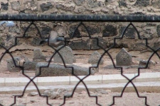 مظلومیت ائمه مدفون در بقیع سند مظلومیت شیعه است