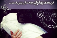 اینا پرواز بی بالو میفهمن/سکوت بیست و چند سالو میفهمن/یه عمر زیر خاکا غرق روضه ان/اینا معنی گودالو م