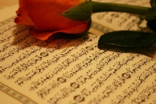 تنها راه نجات جوامع اسلامی و مسلمانان رجوع به قرآن است