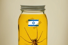 ان‌شاءالله تا ۲۵ سال دیگر،