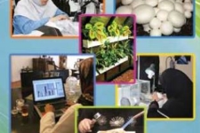 اهداف بلند بسیج و سپاه کرمانشاه برای تحقق اقتصاد مقاومتی/ از حمایت از صنایع تبدیلی تا کمک به اشتغال جوانان روستایی