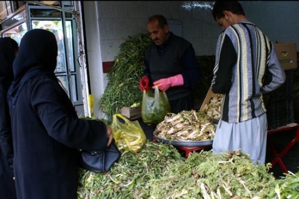  فصل بهار و عطر دل انگیز غذاهایی باگیاهان بهاری / وقتی گیاهان معطر ومغذی فصل بهار میهمان سفره های مردم می شود