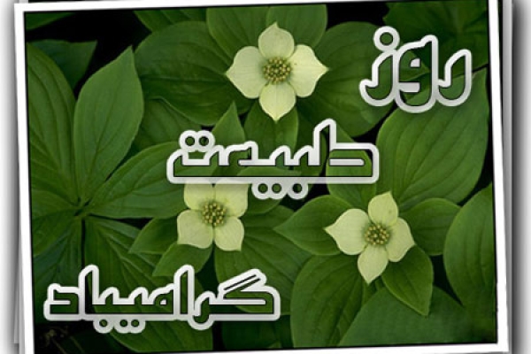 از سپردن سبزه ها به آب رودخانه تا خوردن کاهو و سکنجبین درکنارخانواده/ وقتی مردم در دامان طبیعت با تعطیلات نوروزی وداع می کنند