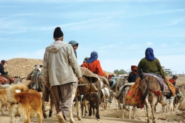 آغاز کوچ بهاره عشایر استان از اواخر فروردین ماه / مقدمات لازم جهت تسهیل در کوچ عشایر فراهم شده است
