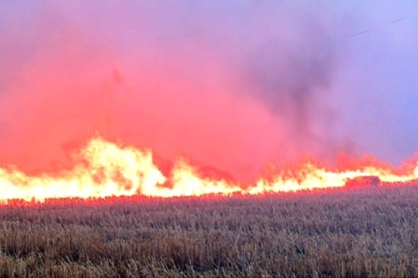  ازایجاد آلودگیهای زیست محیطی تا تاثیرات منفی آتش زدن بقایای محصولات برزمینهای کشاورزی / وقتی تشکیل مديريت بحران آتش سوزی در مزارع كشاورزي ضروری می شود