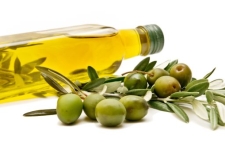 آموزش نقش مهمی در موفقیت کارآفرینان جوان دارد / برگزاری کلاسهای توجیهی و آموزشی تولید و فرآوری زیتون
