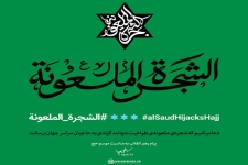 چرا رهبر انقلاب از عبارت شجره ملعونه استفاده کردند؟