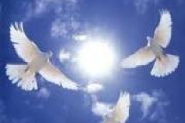  وقتی عشق به اهل بیت (ع) امین الله را حسینی می کند / از شاگرد اولی بودن شهید در جبهه علم ودانش تا شاگرد اول شدن در جبهه های حق علیه باطل