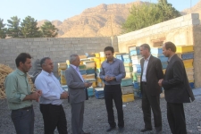 اقتصاد مقاومتی زمینه ساز اشتغال بسیاری از جوانان جویای کار شده است / آموزش و تلاش مهمترین فاکتورهای موفقیت در پرورش زنبورعسل