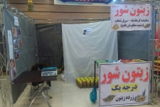 اعزام تولیدکنندگان عرصه های اقتصاد مقاومتی شهرستان به نمایشگاه سراسری تهران 