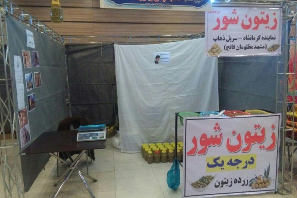 اعزام تولیدکنندگان عرصه های اقتصاد مقاومتی شهرستان به نمایشگاه سراسری تهران 