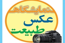 هنر وسیله ای موثر درتحقق همدلی و مودت است /  گشایش نمایشگاه عکس بمناسبت هفته وحدت در شهرستان