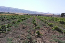  حمایت بسیج سازندگی از کارآفرینان نقش مهمی در تحقق اقتصاد مقاومتی دارد / تلاش وتجربه مهمترین عامل موفقیت درکسب و کار است