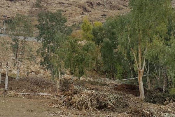 بی سرپناهی تنها یک گام تا کارتون خوابی / وقتی با تعامل میان مسئولین ذیربط هیچ کارتون خوابی مشاهده نخواهد شد