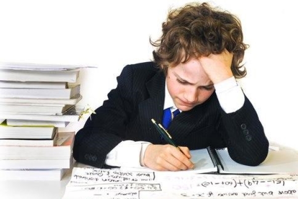 استرس فصل امتحانات و کاهش چشمگیر سطح اشتهای دانش آموزان / تغذیه سالم و مقوی عاملی مهم در سطح یادگیری افراد است