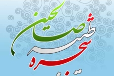 حلقه های صالحین بسیج نقش مهمی در بصیرت افزایی جوانان دارد /نقش حلقه های صالحین در رفع شدن شبهات جامعه