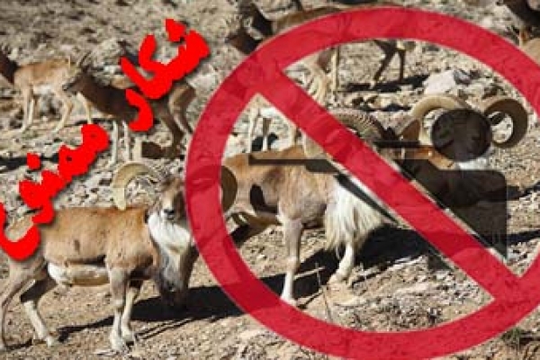 دستگیری شکارچیان غیرمجاز در منطقه شکار ممنوع انزل شهرستان
