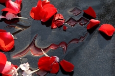  شهیدی که با قرآن و نهج البلاغه مانوس بود / از پخش اطلاعیه های امام تا برگزاری مراسمات مذهبی در محل