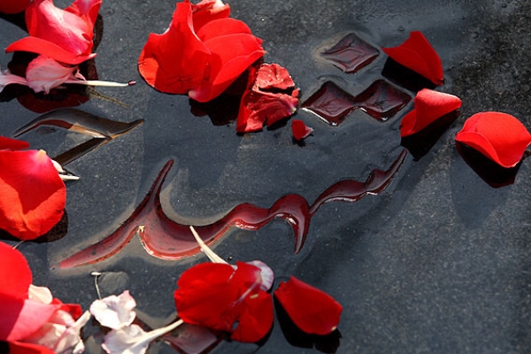  شهیدی که با قرآن و نهج البلاغه مانوس بود / از پخش اطلاعیه های امام تا برگزاری مراسمات مذهبی در محل