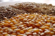  کشف وضبط 6 تن خوراک طیور غیرمجاز در شهرستان