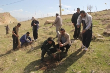  غرس 1500 اصله نهال در یادمان شهدای بازی دراز شهرستان