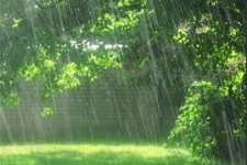 بارش بیش از 12 میلیمتری باران در شهرستان / رگبار و بارش های بهاری مهمترین پدیده شهرستان در روزهای آینده است
