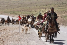  آغاز کوچ بهاره عشایر شهرستان به مناطق ییلاقی و سردسیر استان