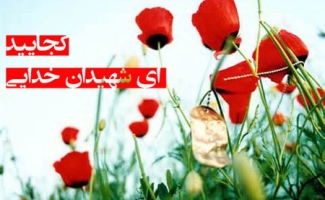شهید هنرمندی که هنرمندانه به سوی خدا پر کشید / عملیات مرصاد آخرین تابلوی زیبای ایثار وشجاعت شهید پیری