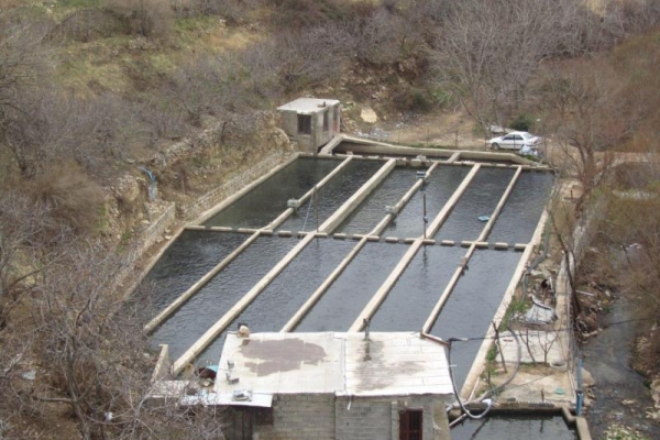  اقتصادمقاومتی بستری مهم برای اشتغالزایی و رونق تولیدات داخلی است / نقش مهم مزارع پرورش ماهی در تولید و اشتغال