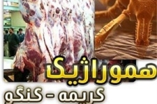 بیماری تب کریمه کنگو در جمعیت دامی شهرستان مشاهده نشده است / لزوم رعایت موارد پیشگیرانه در ذبح دام 