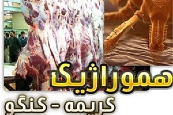 بیماری تب کریمه کنگو در جمعیت دامی شهرستان مشاهده نشده است / لزوم رعایت موارد پیشگیرانه در ذبح دام 