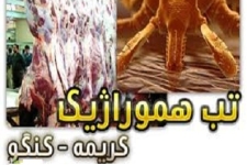  اطلاع رسانی و آگاهسازی مردم مهمترین برنامه مقابله با بیماری است / لزوم استفاده از گوشت تازه ۲۴ ساعت پس از ذبح دام