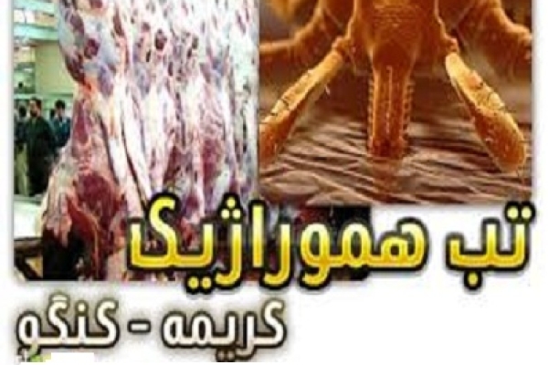  اطلاع رسانی و آگاهسازی مردم مهمترین برنامه مقابله با بیماری است / لزوم استفاده از گوشت تازه ۲۴ ساعت پس از ذبح دام