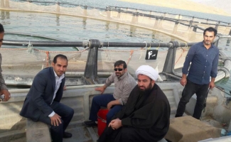 پرورش ماهی درقفس سدشهدای گمنام به ۳۰۰ تن درسال افزایش یافت / کسب رتبه اول شهرستان در پرورش ماهی درقفس استان
