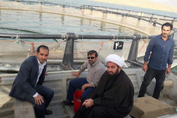 پرورش ماهی درقفس سدشهدای گمنام به ۳۰۰ تن درسال افزایش یافت / کسب رتبه اول شهرستان در پرورش ماهی درقفس استان