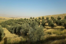 تلاش و آموزش مهم ترین فاکتورهای موفقیت در عرصه اقتصاد و اشتغال است/ حمایت بسیج سازندگی نقش مهمی در موفقیت کار آفرینان دارد