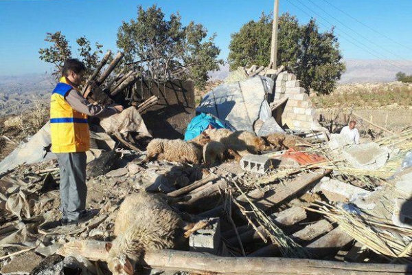 شرایط مردم سرپل ذهاب پس از زلزله/ مردم کماکان در پنجمین روز از زلزله ‌بدون چادر در خیابان به سر می‌برند