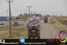 پیامدهای منفی تعطیلی مرز رسمی تیله کوه بر روند معیشت مردم زلزله زده سرپل ذهاب/ از عدم فعالیت اقتصادی تا پرداخت اجاره بهای ماهانه مغازه های بی رونق 