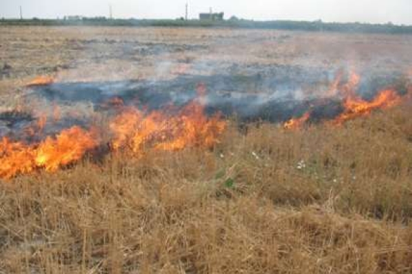 سوزاندن بقایای محصولات کشاورزی خطری برای سلامت مردم زلزله زده در سرپل ذهاب/آتش زدن بقایای محصولات کشاورزی، روشی مرسوم اما اشتباه