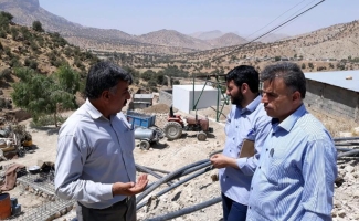 بازدید معاون اشتغال و خودکفایی کمیته امداد امام خمینی (ره) کشورازطرح های خوکفایی اشتغالزایی مددجویان کمیته امداد سرپل ذهاب