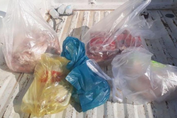 کشف و معدوم سازی ۲۰ کیلوگرم گوشت فاسد در شهرستان