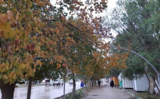 ادامه بارندگی،کاهش دمای روزانه ازمهمترین پدیده های جوی در شهرستان خواهد بود
