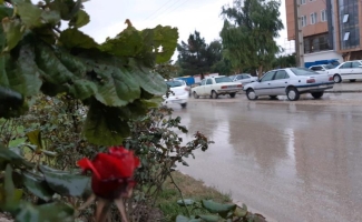 بارش 16 میلیمتری باران در سرپل ذهاب/کاهش دمای هوا وبارندگی پدیده های محسوس هفته جاری