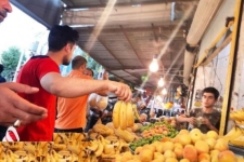 هیچ گونه کمبود میوه ای برای شب یلدا در شهرستان نداریم